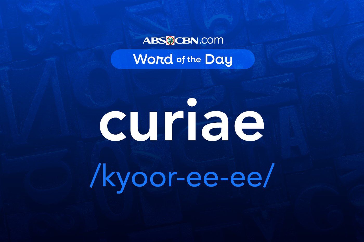 Word of the Day for September 15, 2026: curiae