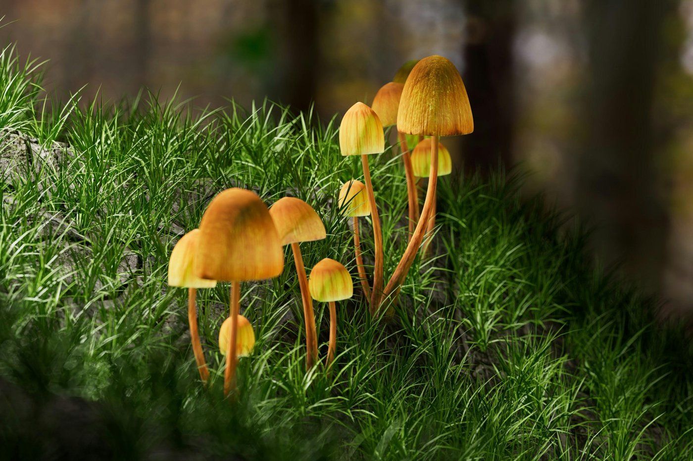US study tests psilocybin to fight cancer side effects