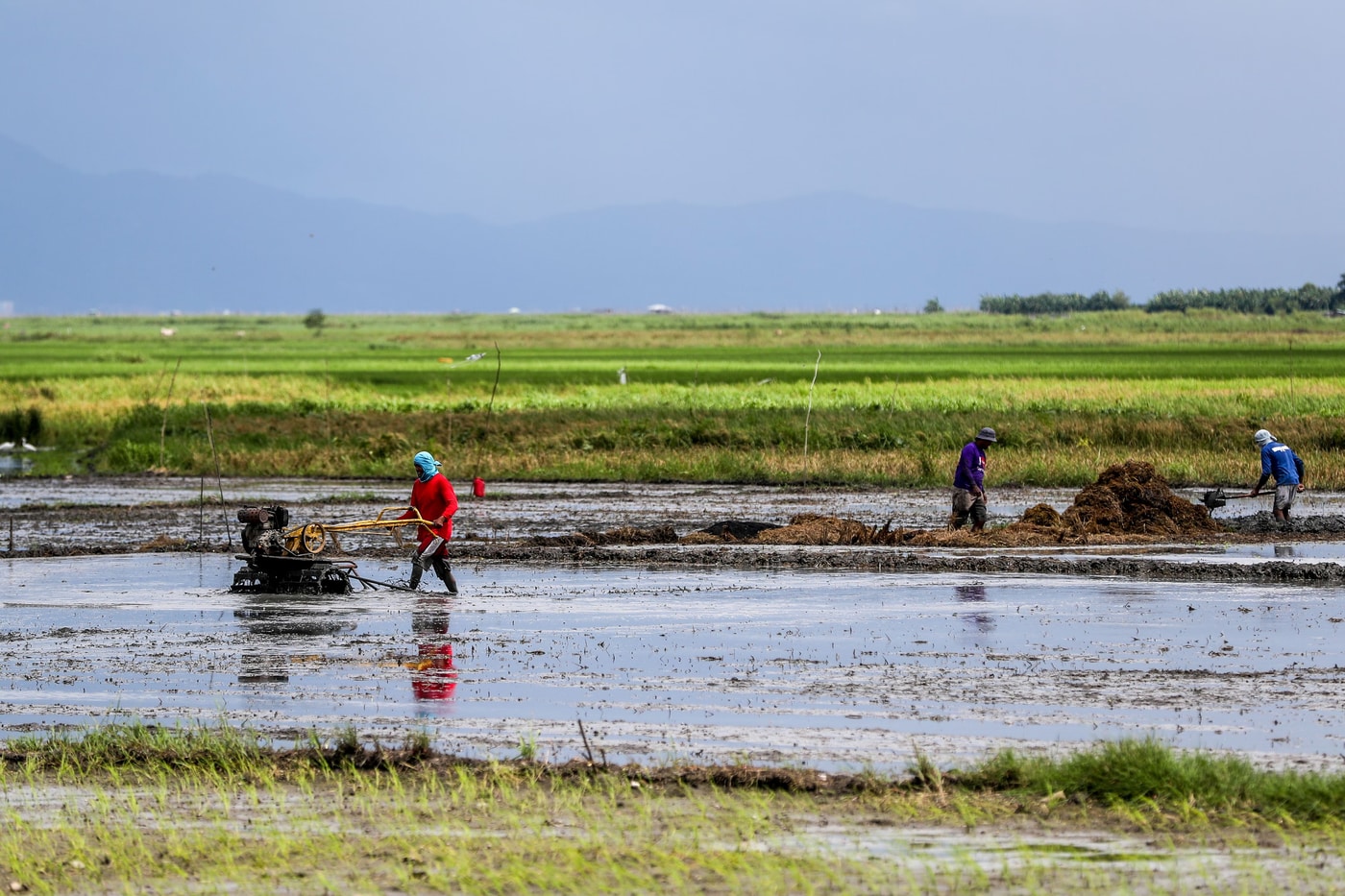 As Super El Niño looms, DOST deploys smart farming technologies to help farmers beat drought